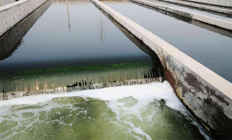 氧化性殺菌滅藻劑和非氧化性殺菌滅藻劑的區(qū)別